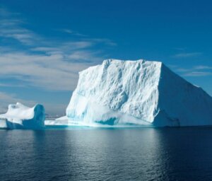 Antarctica Wildlife Boat Tour