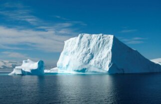 Antarctica Wildlife Boat Tour