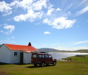 Sub-Antarctic Wildlife Premium Boat Tour