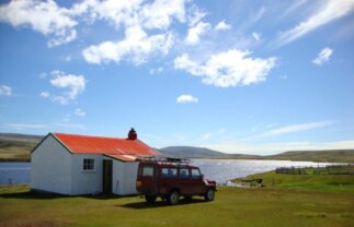 Sub-Antarctic Wildlife Premium Boat Tour