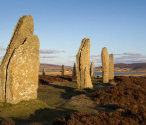 Luxury Scottish Island and Wildlife Boat Trip