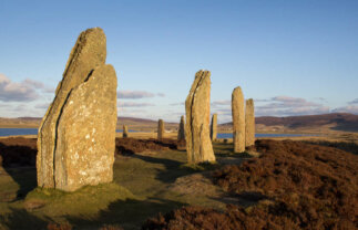 Luxury Scottish Island and Wildlife Boat Trip