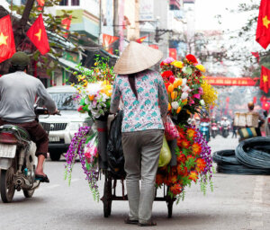 Best of Vietnam and Cambodia Tour