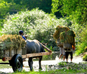 Vietnam and Angkor in Style