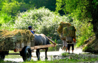 Vietnam and Angkor in Style