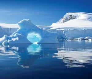 14-Day Antarctica Wildlife and Scenery Boat Tour