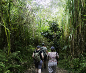 Hiking in Costa Rica and Nicaragua