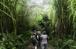 Hiking in Costa Rica and Nicaragua