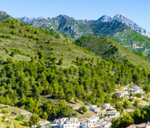 Spain Walking in Rural Andalucia