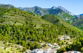 Spain Walking in Rural Andalucia