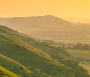 Superb Value South Downs Walk