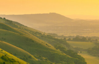 Superb Value South Downs Walk