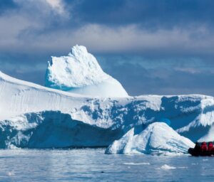 Antarctica Wildlife Boat Tour