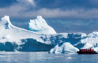 Antarctica Wildlife Boat Tour