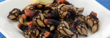 Spanish Food and Wine Experiences - Percebes