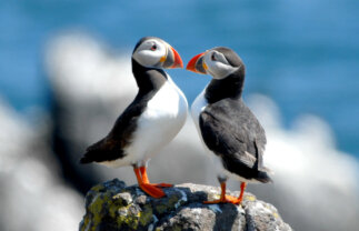 Walking Scotland’s Orkney Islands