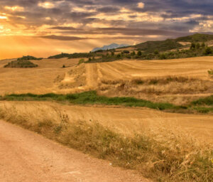 Walking the Camino de Santiago