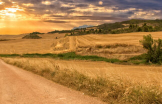 Walking the Camino de Santiago