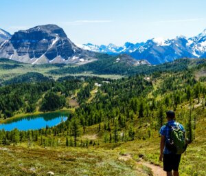 Walking in the Canadian Rockies