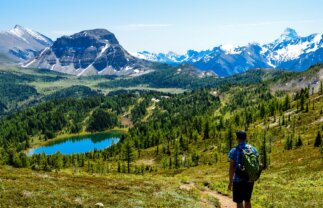 Walking in the Canadian Rockies