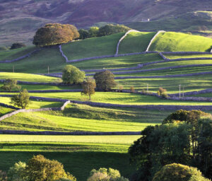 Yorkshire Dales Walking