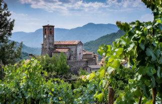 Tuscany Walking and Cultural Tour