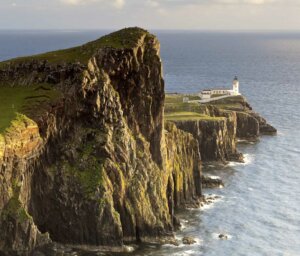 Luxury Scottish Island and Wildlife Boat Trip