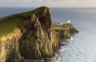 Luxury Scottish Island and Wildlife Boat Trip