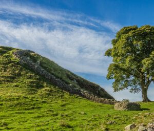 Group Walking Holiday in Northumberland