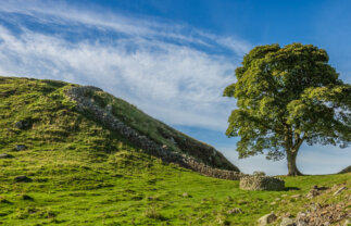 Group Walking Holiday in Northumberland