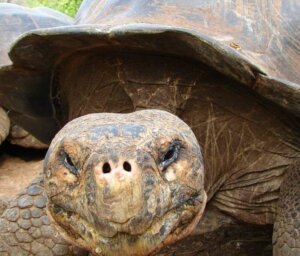 Boat Cruise of Galapagos – West & Central Islands