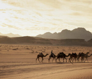 Scenic and Historical Walking Tour of Jordan