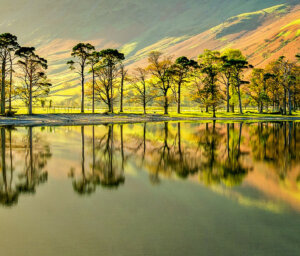 Walking Tour of the Lake District