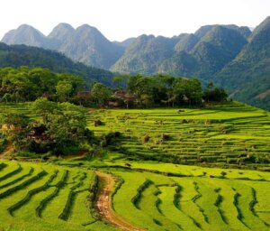 Walking in Vietnam