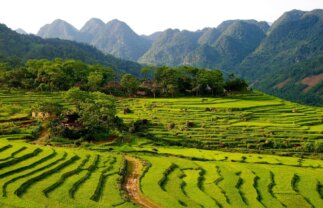 Walking in Vietnam