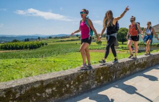 Walk the Camino de Santiago