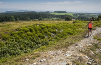 Camino de Santiago and Madrid