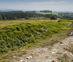 Walk the Camino de Santiago