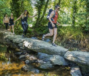 Walk the Camino de Santiago