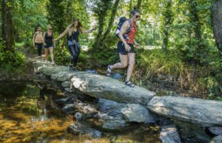 Walk the Camino de Santiago