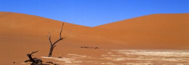 Namibia nature tours