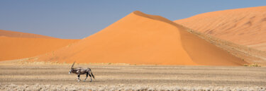 Namibia over 50s tours