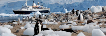 Adventure Holidays in Antarctica