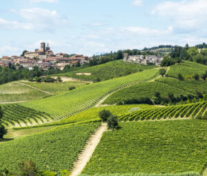 Walking the Italian Alps and Piedmont Wine Region