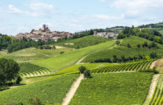 Walking the Italian Alps and Piedmont Wine Region