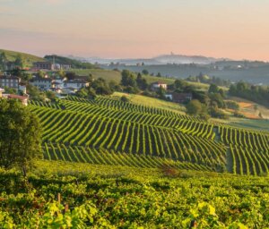 Walking the Italian Alps and Piedmont Wine Region