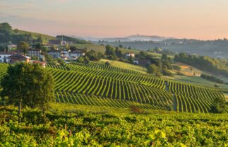 Walking the Italian Alps and Piedmont Wine Region