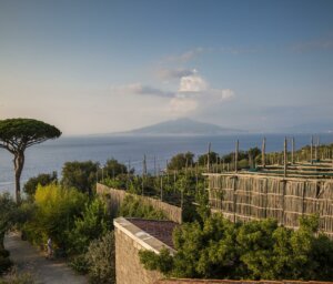 Italy Agritourism Near Amalfi Coast