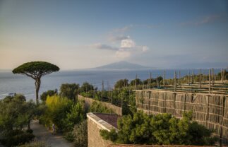 Italy Agritourism Near Amalfi Coast