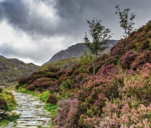 Walking In Snowdonia for Singles